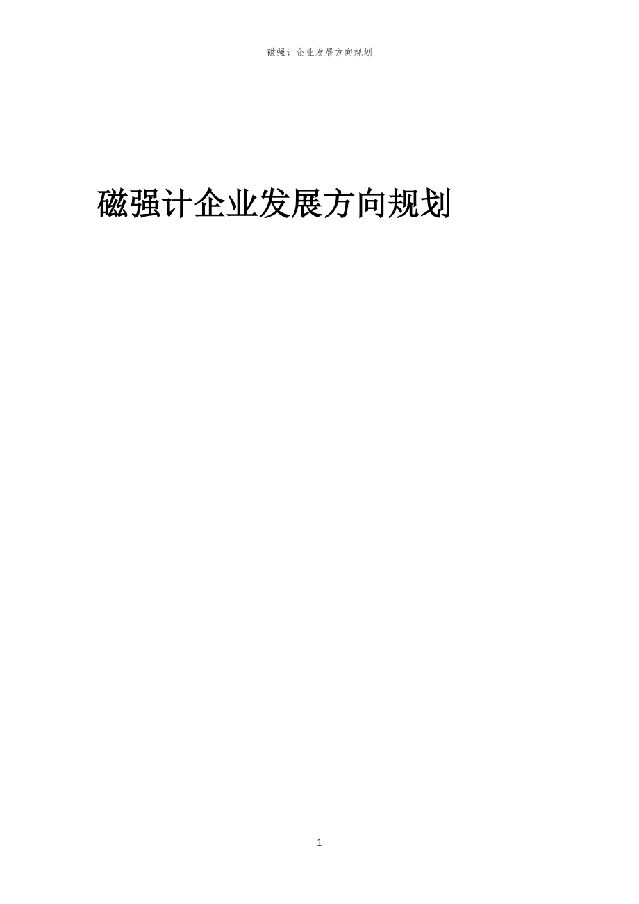 2023年磁强计企业发展方向规划_第1页